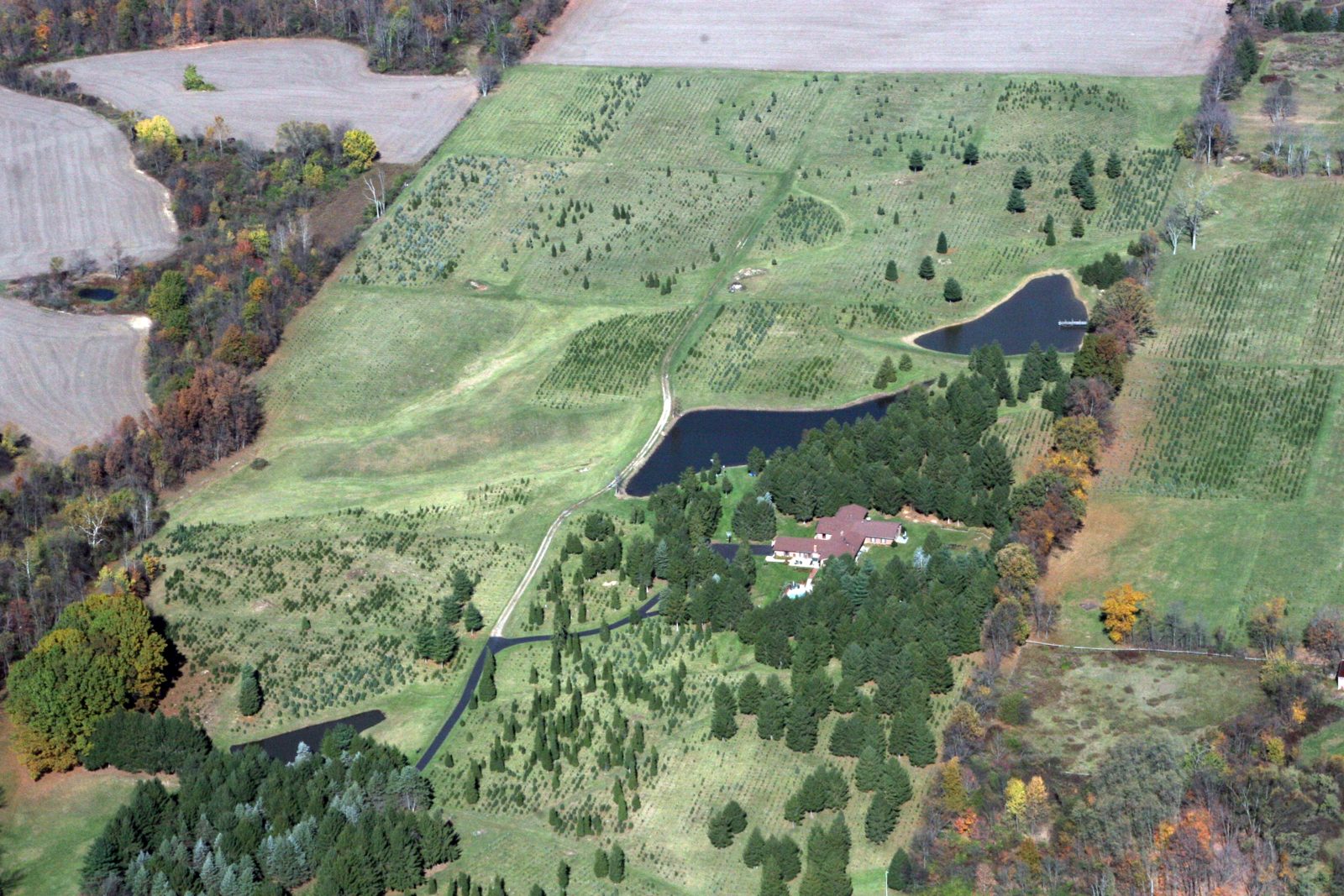 Aerial view across the farm landscape
