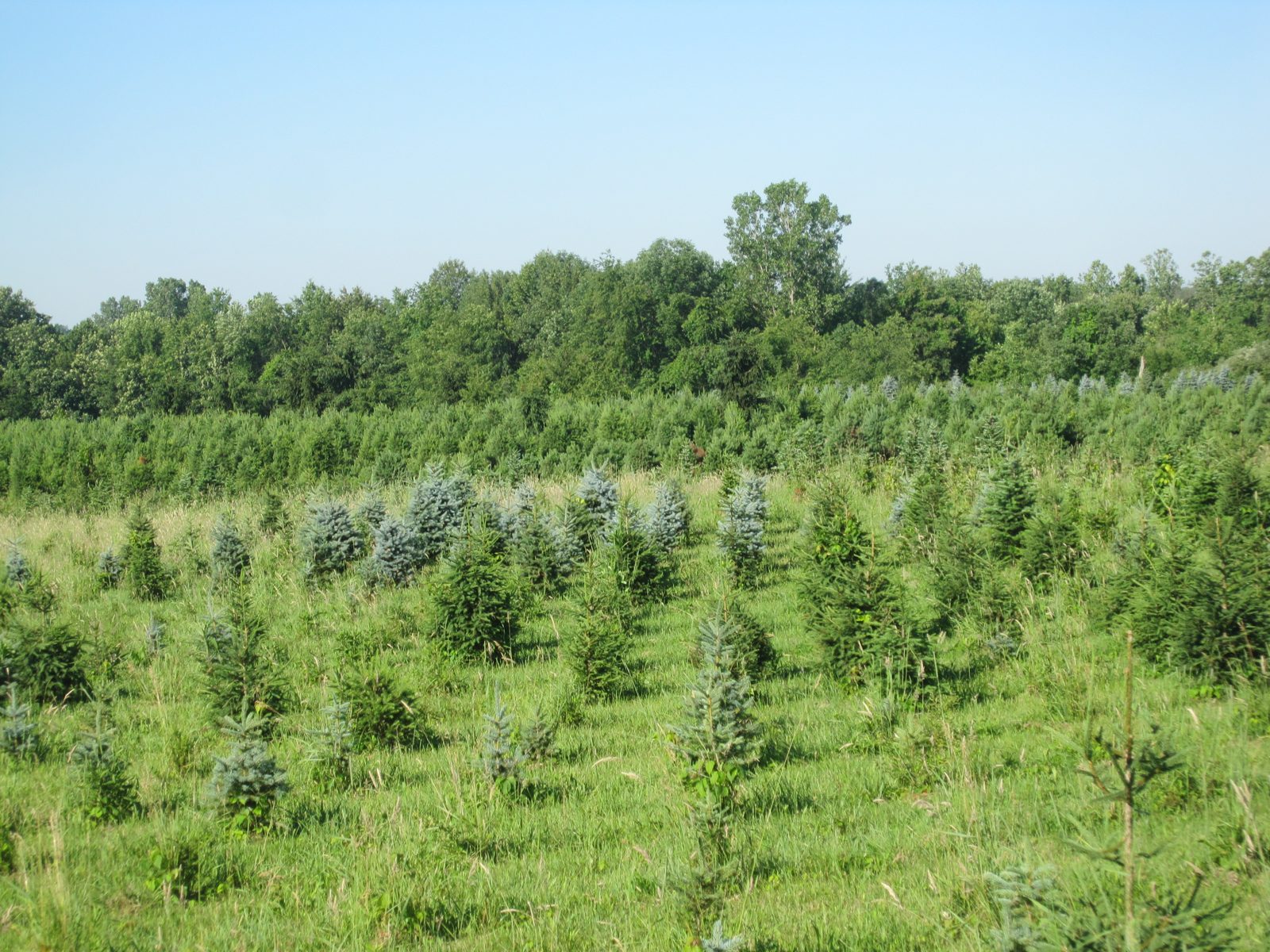 Seasonal view across the farm