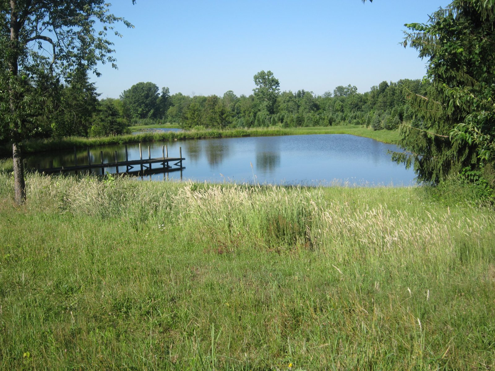 More scenic views from the tree farm